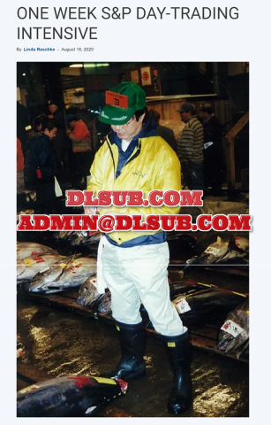 Linda Raschke One Week SP 500 Day Trading Intensive Workshop lindaraschke.net